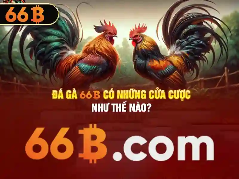 code 66b: hành trình thương hiệu và trải nghiệm người dùng