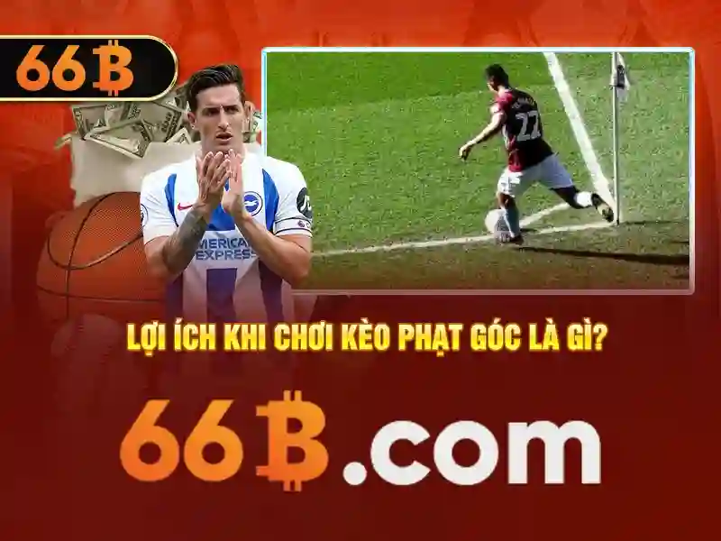 hai con gà trống đá - 555 win