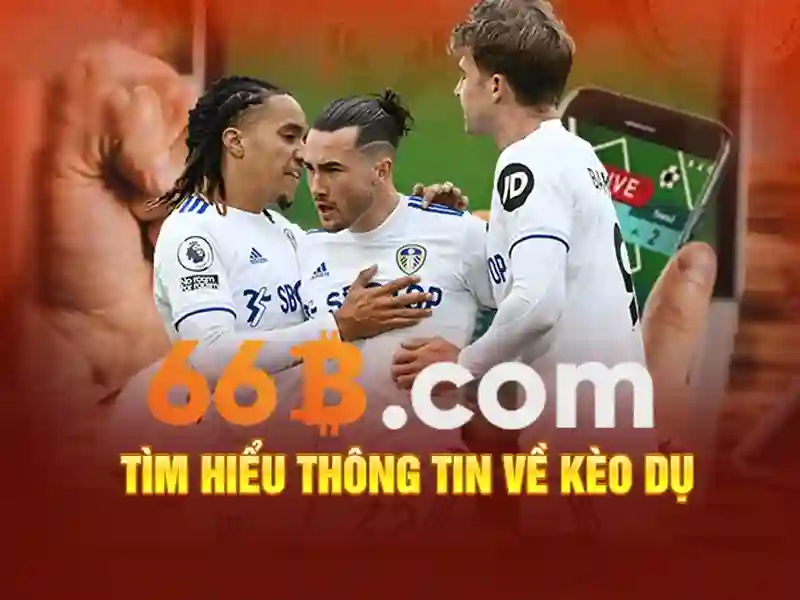 tous les jours 66b cmt8: khởi nguồn thương hiệu tiềm năng