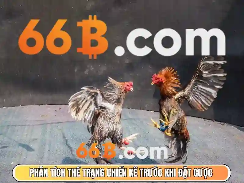 66b là gì? - Khai thác tiềm năng của mô hình ngôn ngữ lớn