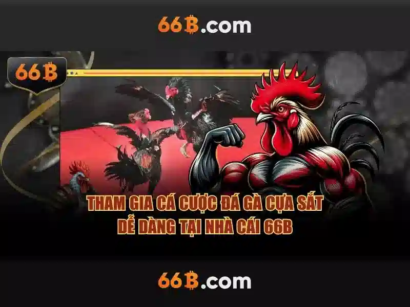 66b có hợp pháp không: Định vị an toàn và uy tín