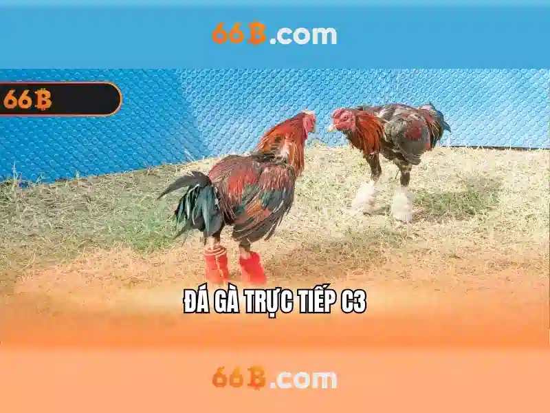 66B: Khái niệm, kiến trúc và ứng dụng