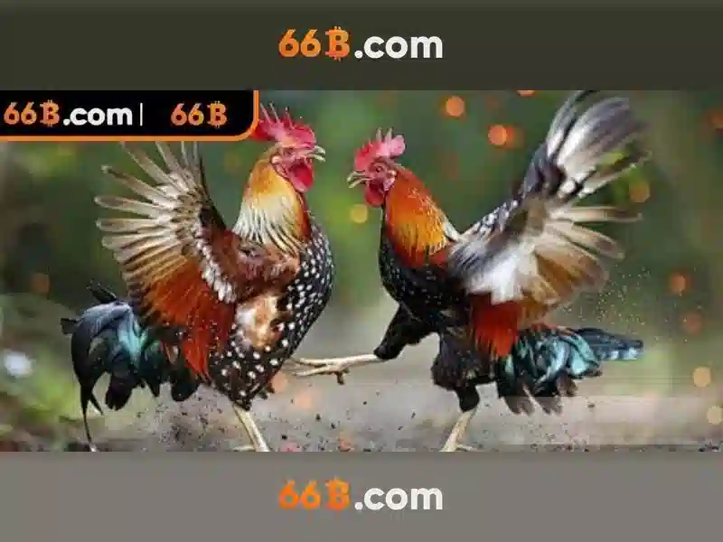 66b nguyễn sỹ sách p15 – Tổng quan thương hiệu và trải nghiệm