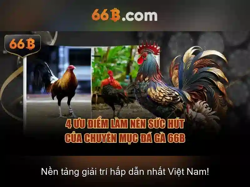 66b: Tổng quan và Ứng dụng