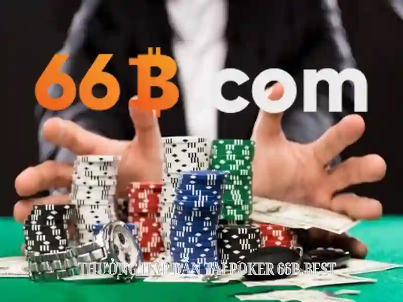 66b concord st wilmington ma 01887: Câu chuyện và giá trị thương hiệu