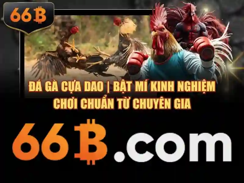 mậu binh 66b – Khám phá bản chính thức và ứng dụng