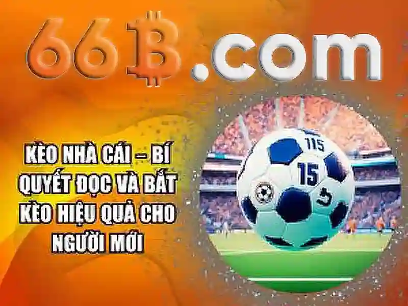 66b: Mã ký hiệu và ý nghĩa