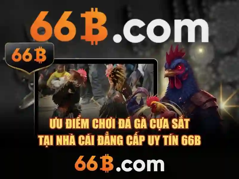 66b kw - hành trình đổi mới và ứng dụng nổi bật