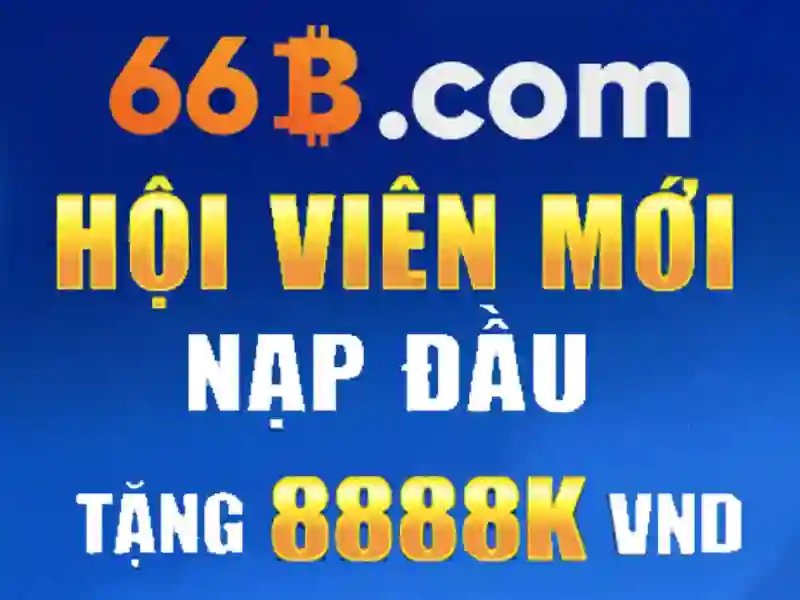 Giao dịch 66b: Tổng quan, sản phẩm và trải nghiệm